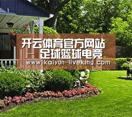 开云体育官方网站 - 足球篮球电竞实时竞猜