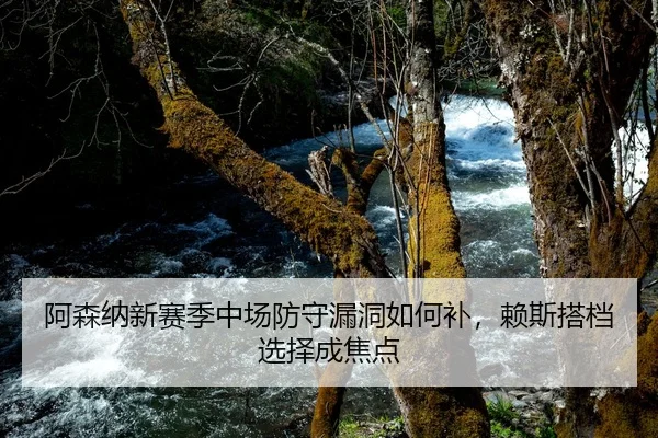 阿森纳新赛季中场防守漏洞如何补，赖斯搭档选择成焦点