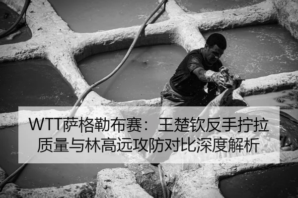 WTT萨格勒布赛：王楚钦反手拧拉质量与林高远攻防对比深度解析