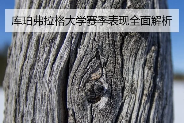 ku-po-fu-la-ge-da-xue-sai-ji-biao-xian-quan-mian-jie-xi-2-227.jpg