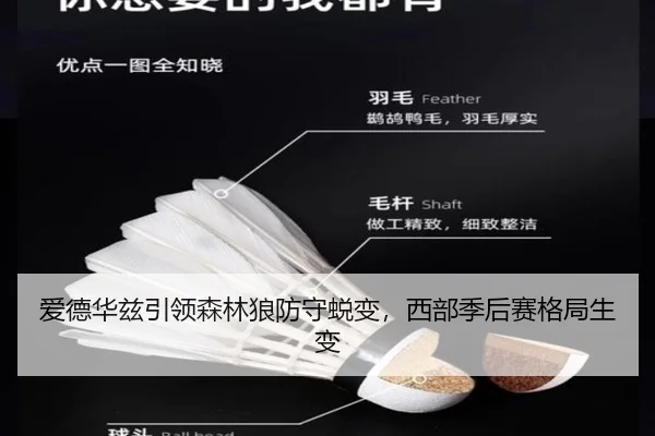 ai-de-hua-zi-yin-ling-sen-lin-lang-fang-shou-tui-bian-xi-bu-ji-hou-sai-ge-ju-sheng-bian-2-939.jpg