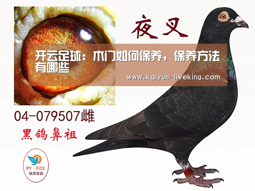开云足球:木门如何保养,保养方法有哪些(图3) 开云足球