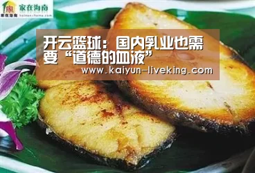 开云篮球