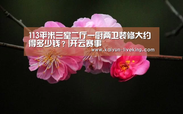 113平米三室二厅一厨两卫装修大约得多少钱?|开云赛事(图1) 开云篮球